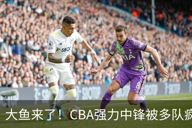 大鱼来了！CBA强力中锋被多队疯抢，或加盟广东队驰援杜锋？