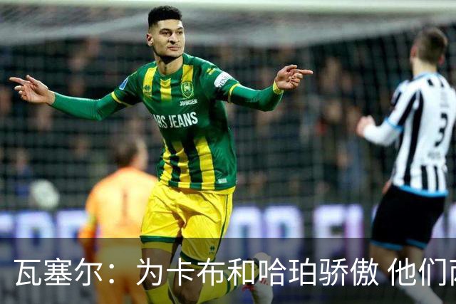 瓦塞尔：为卡布和哈珀骄傲 他们两个都有着不可限量的未来